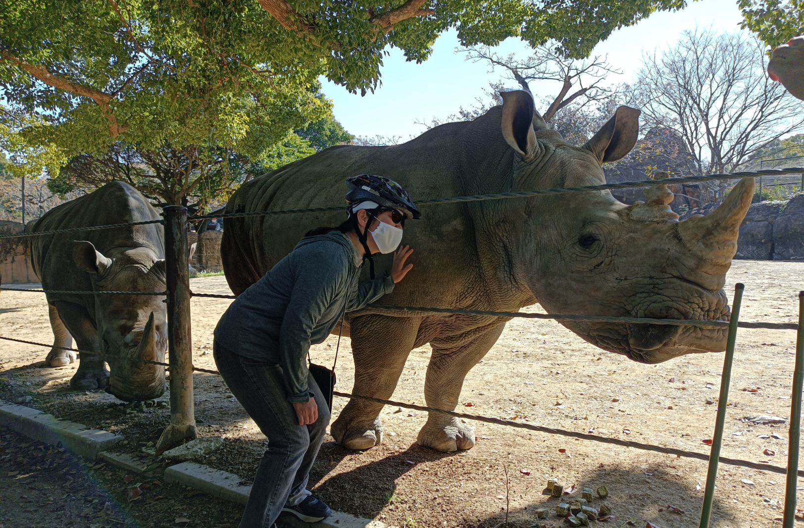 生物多様性の世界